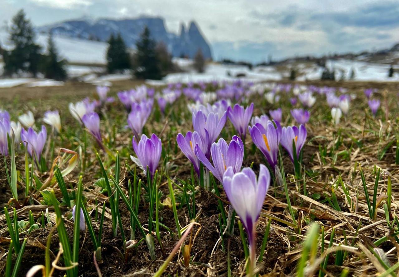 Apartamento App. Cesa Vedla Ortisei Exterior foto